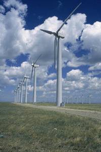 a photo of windmills